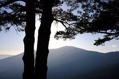 Paseo por la Sierra de Guadarrama